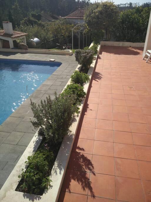 Citrus Tree House, Private Pool And Garden. Villa Angeja Exteriör bild